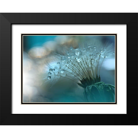 Nan Black Modern Wood Framed Art Print with Double Matting by 1X