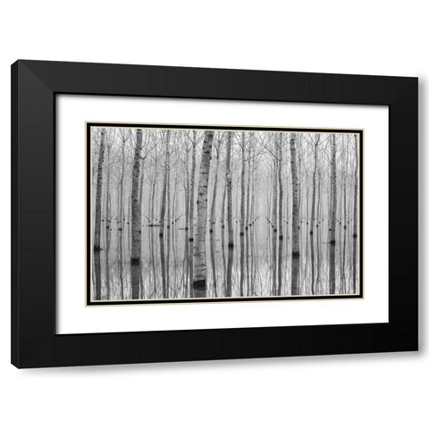 Novembre 2014 Black Modern Wood Framed Art Print with Double Matting by Simone