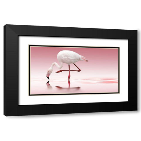 Reindl - Flamingo Black Modern Wood Framed Art Print with Double Matting by 1x