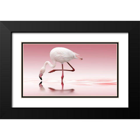 Reindl - Flamingo Black Modern Wood Framed Art Print with Double Matting by 1x
