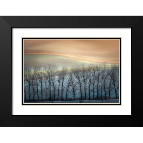 Boguszak - Winter Alley Black Modern Wood Framed Art Print with Double Matting by 1x