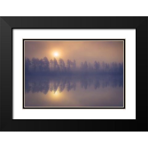 Misty trees Black Modern Wood Framed Art Print with Double Matting by 1x