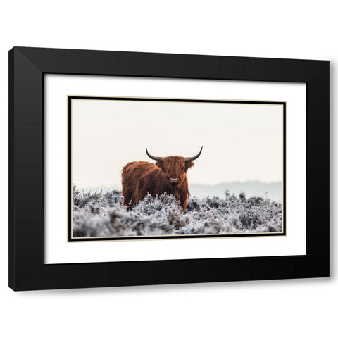 Highlander Black Modern Wood Framed Art Print with Double Matting by Den, Van