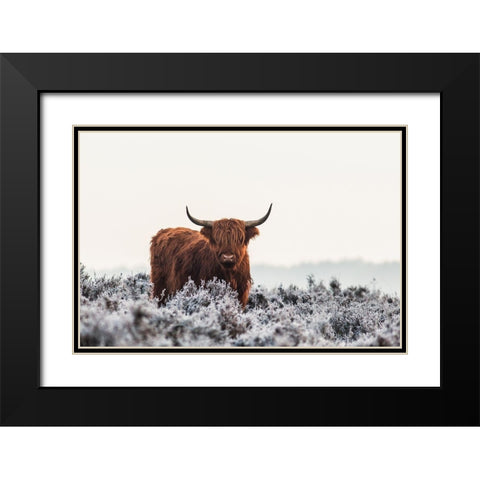 Highlander Black Modern Wood Framed Art Print with Double Matting by Den, Van
