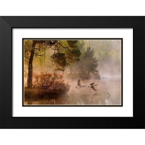 Van Dongen - Goose Fight Black Modern Wood Framed Art Print with Double Matting by 1x