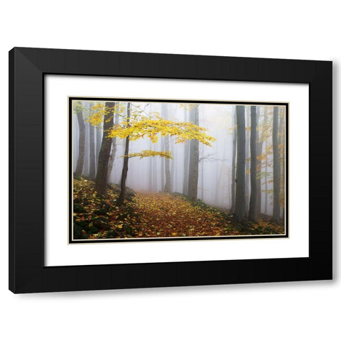 Untitled Black Modern Wood Framed Art Print with Double Matting by 1x