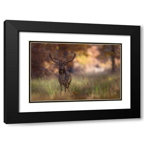 Posing Black Modern Wood Framed Art Print with Double Matting by Mastahac