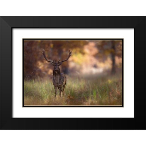 Posing Black Modern Wood Framed Art Print with Double Matting by Mastahac