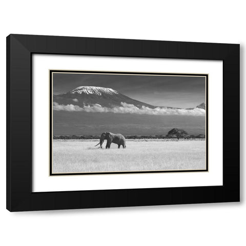 Lost Colors II Black Modern Wood Framed Art Print with Double Matting by Canakci