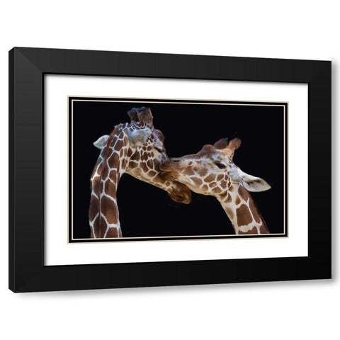 Foeger-The Kiss Black Modern Wood Framed Art Print with Double Matting by 1x