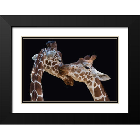 Foeger-The Kiss Black Modern Wood Framed Art Print with Double Matting by 1x