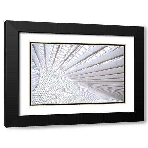 Wride - Curvature Black Modern Wood Framed Art Print with Double Matting by 1X