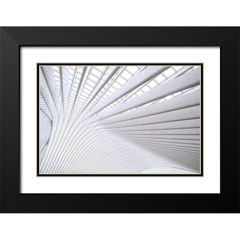 Wride - Curvature Black Modern Wood Framed Art Print with Double Matting by 1X