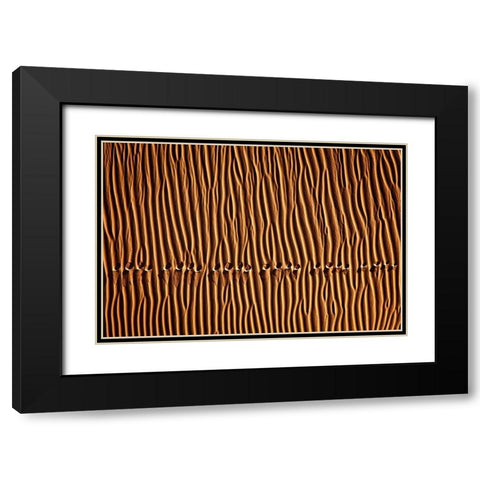 Momeni - Foot Print III Black Modern Wood Framed Art Print with Double Matting by 1X