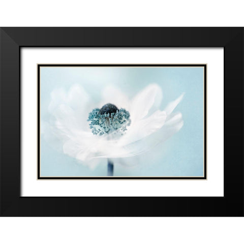 Candy Floss Black Modern Wood Framed Art Print with Double Matting by Parker