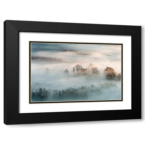 Winter Fog Black Modern Wood Framed Art Print with Double Matting by Galimberti