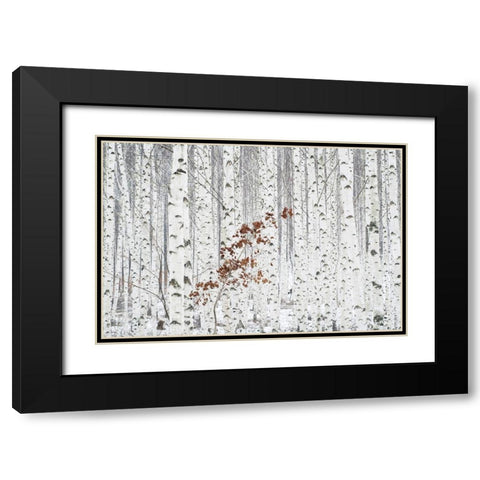 Hee Han - From White Black Modern Wood Framed Art Print with Double Matting by 1x