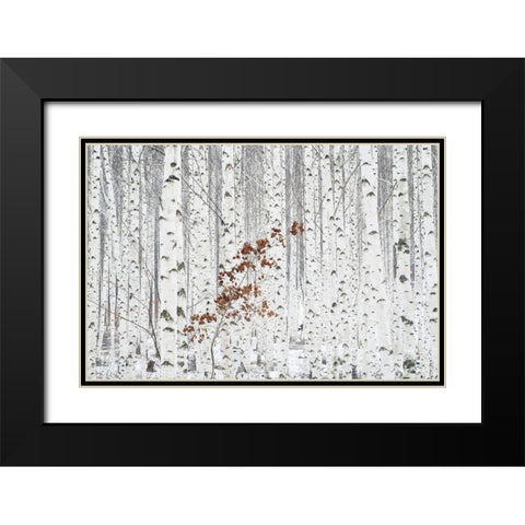 Hee Han - From White Black Modern Wood Framed Art Print with Double Matting by 1x