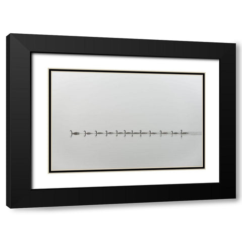 Follow me Black Modern Wood Framed Art Print with Double Matting by Kalathas