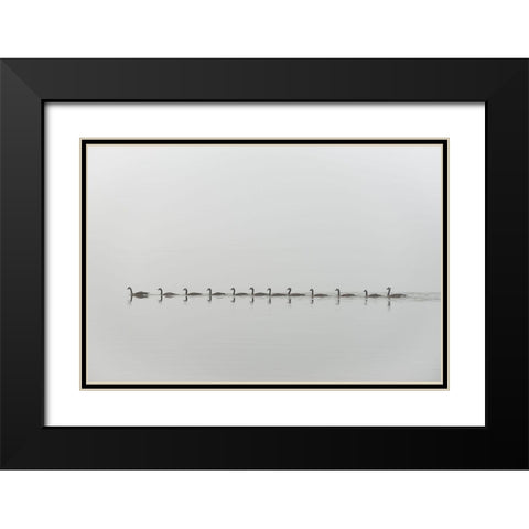 Follow me Black Modern Wood Framed Art Print with Double Matting by Kalathas