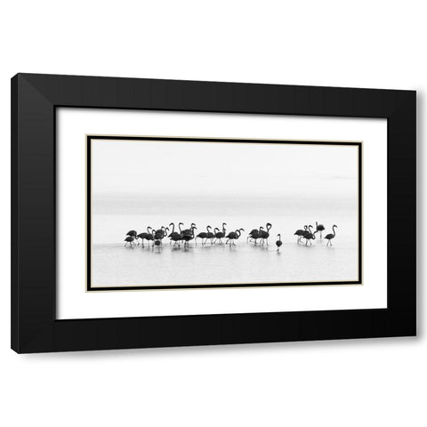 Gil Raga - Flamingos Black Modern Wood Framed Art Print with Double Matting by 1x