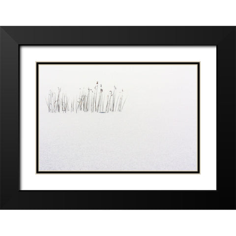 Frozen life Black Modern Wood Framed Art Print with Double Matting by Scappazzoni