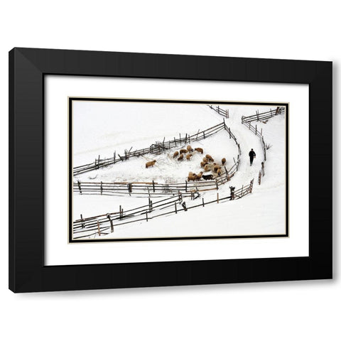 Protected Area Black Modern Wood Framed Art Print with Double Matting by Harag
