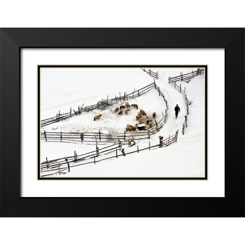 Protected Area Black Modern Wood Framed Art Print with Double Matting by Harag
