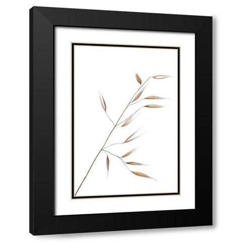 Lagandre- Subtle Delicateness  Black Modern Wood Framed Art Print with Double Matting by 1x