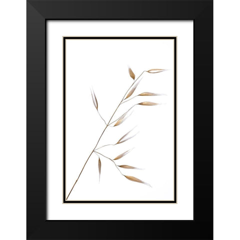 Lagandre- Subtle Delicateness  Black Modern Wood Framed Art Print with Double Matting by 1x