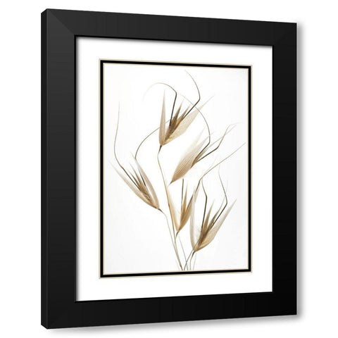 Lagandre- Delicacy of Nature Black Modern Wood Framed Art Print with Double Matting by 1x