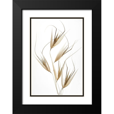 Lagandre- Delicacy of Nature Black Modern Wood Framed Art Print with Double Matting by 1x