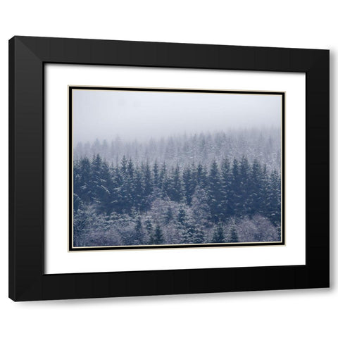 Frozen Trees Black Modern Wood Framed Art Print with Double Matting by ChristensenÂ 