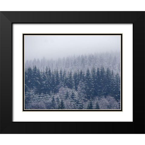 Frozen Trees Black Modern Wood Framed Art Print with Double Matting by ChristensenÂ 