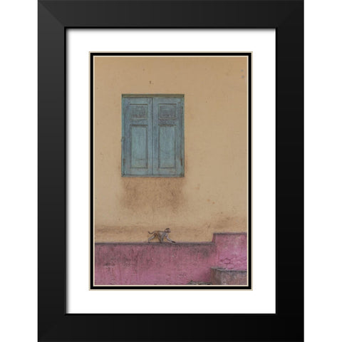 Monkey Stroll Black Modern Wood Framed Art Print with Double Matting by Dessureault