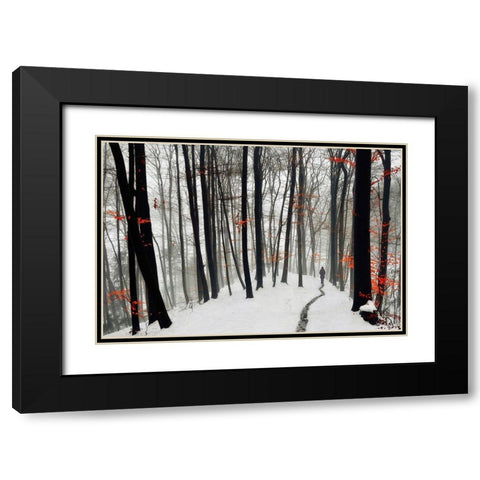 Through autumn and winter Black Modern Wood Framed Art Print with Double Matting by Krivec