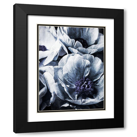 Peony Blue Petals II Black Modern Wood Framed Art Print with Double Matting by Aldridge, Ashley
