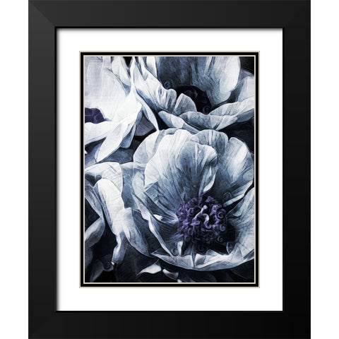 Peony Blue Petals II Black Modern Wood Framed Art Print with Double Matting by Aldridge, Ashley