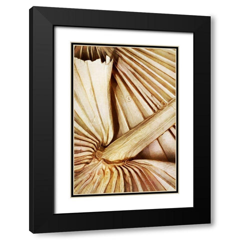 Natural Dried Palms I  Black Modern Wood Framed Art Print with Double Matting by Aldridge, Ashley