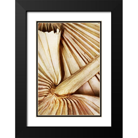 Natural Dried Palms I  Black Modern Wood Framed Art Print with Double Matting by Aldridge, Ashley