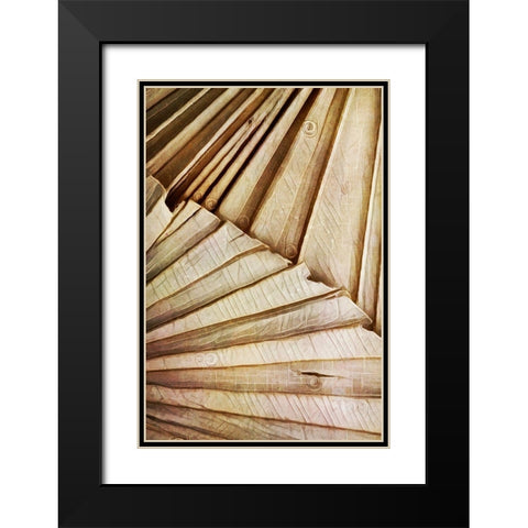 Natural Dried Palms II Black Modern Wood Framed Art Print with Double Matting by Aldridge, Ashley