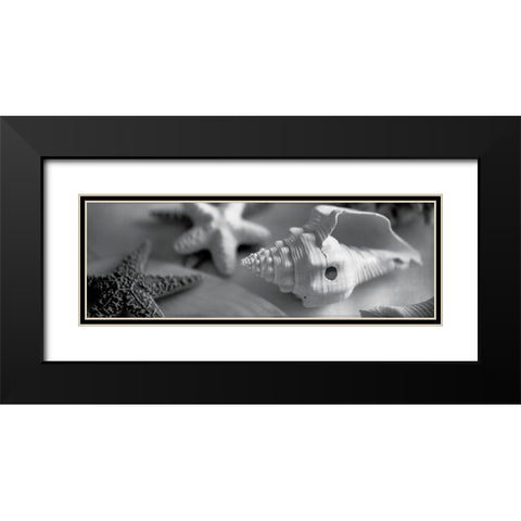 Coastal Collection II Black Modern Wood Framed Art Print with Double Matting by YK Studios