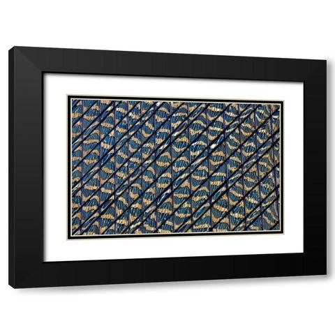 Guilding Black Modern Wood Framed Art Print with Double Matting by Zimbalist, David