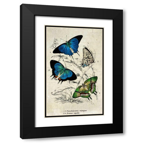 Kirby Butterflies I Black Modern Wood Framed Art Print with Double Matting by Zalewski, Christine