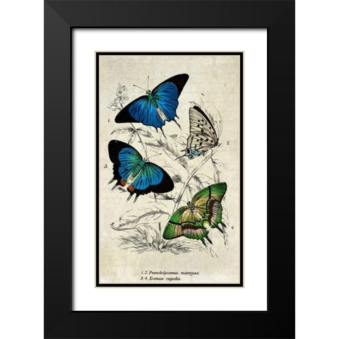 Kirby Butterflies I Black Modern Wood Framed Art Print with Double Matting by Zalewski, Christine