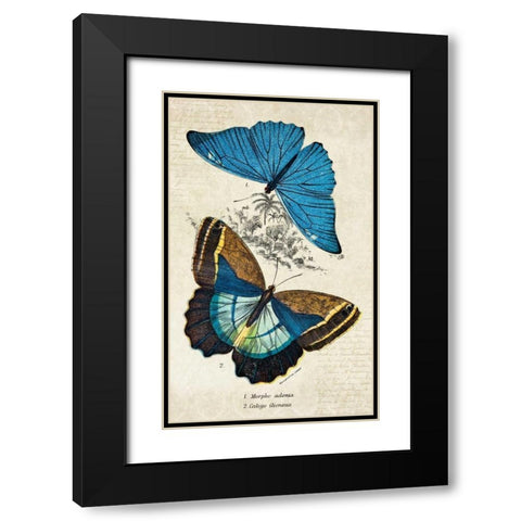 Kirby Butterflies II Black Modern Wood Framed Art Print with Double Matting by Zalewski, Christine