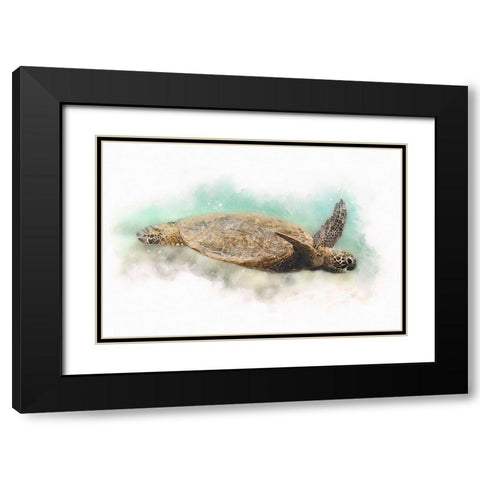 Hawaiian Green Sea Turtle Watercolor I Black Modern Wood Framed Art Print with Double Matting by Zalewski, Christine