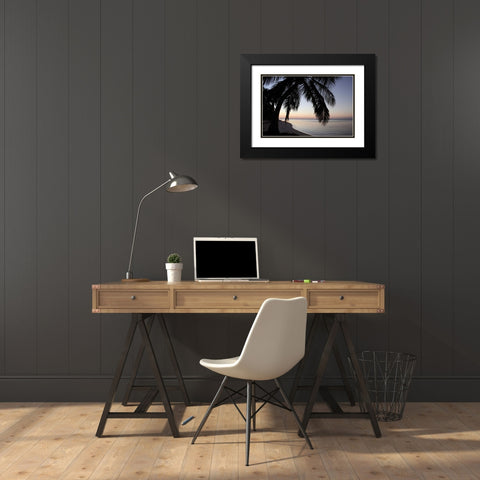Palm Tree Sunset Black Modern Wood Framed Art Print with Double Matting by Anderson, Brent