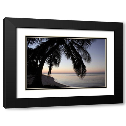Palm Tree Sunset Black Modern Wood Framed Art Print with Double Matting by Anderson, Brent