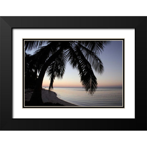 Palm Tree Sunset Black Modern Wood Framed Art Print with Double Matting by Anderson, Brent